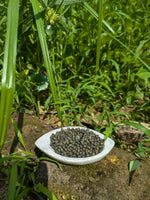 Aamahata India Desi Moong Dal prepared from high-quality desi green gram, offering authentic taste 