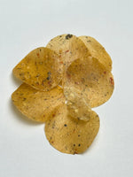 Spicy Masala Flavour Sagoo Pampad 100gm