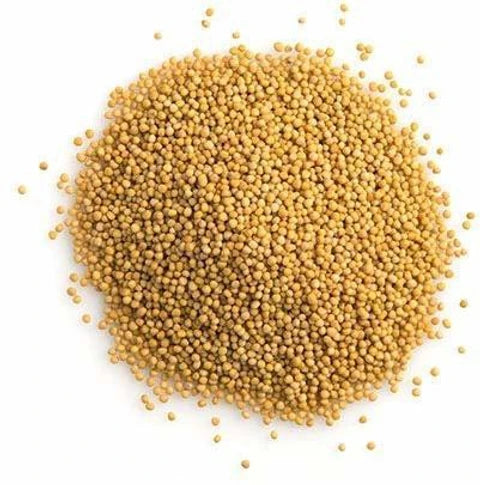 White Mustard Seeds 50gm made from premium-quality white rai seeds, offering rich aroma and authentic flavor for pickles, tempering, and traditional recipes.